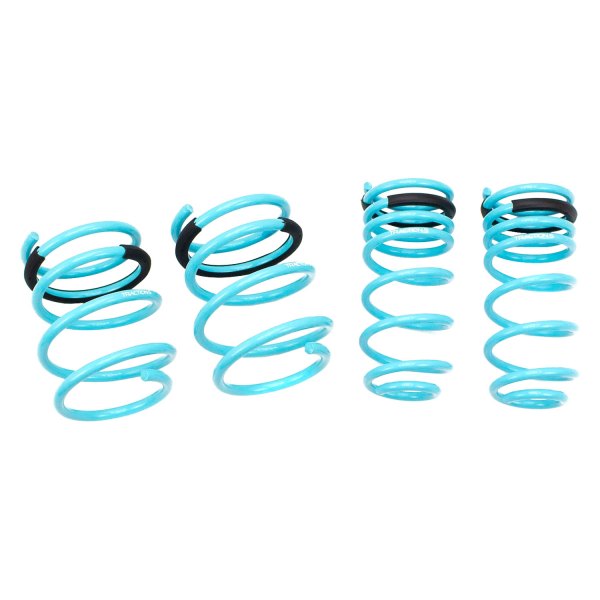 Godspeed Project® - 1" x 1" Traction-S™ Front and Rear Performance Lowering Springs