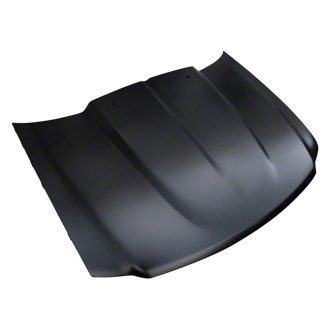 Ford Expedition Replacement Hoods | Hinges, Supports – CARiD.com