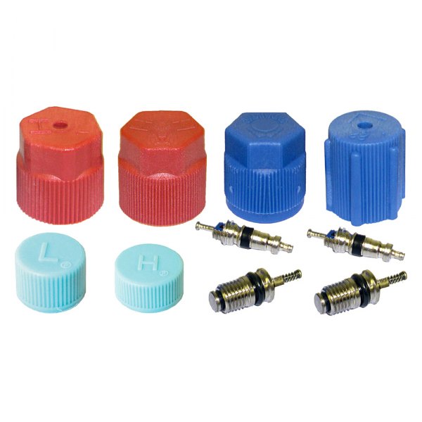 gpd® - A/C System Valve Core and Cap Kit
