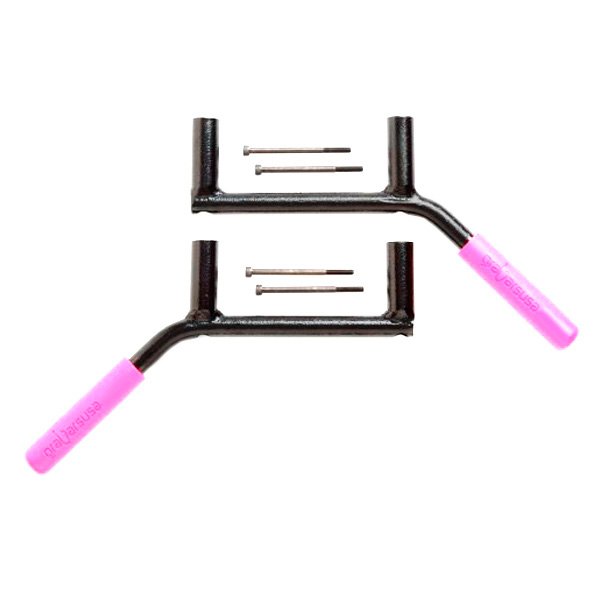 GraBars® - Pink Rear Grab Handles