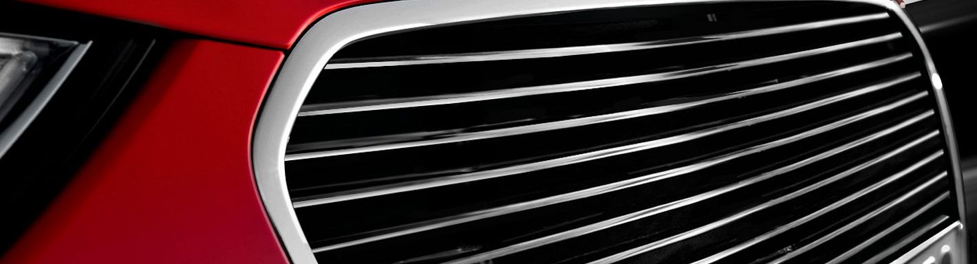 Ford Expedition Custom Grilles - 2003
