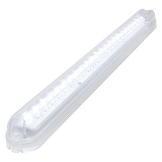 Grote® - Slimlite Courtesy White LED Light