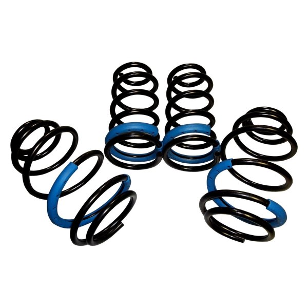 Ground Force® - 1" x 1" Front and Rear Lowering Coil Springs