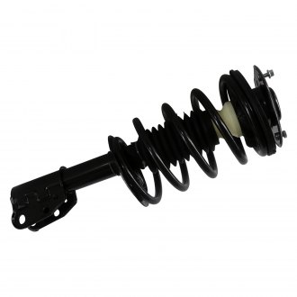 GSP North America® - Strut Assembly