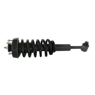 GSP North America® - Strut Assembly