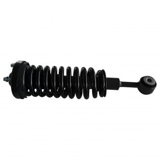 GSP North America® - Strut Assembly