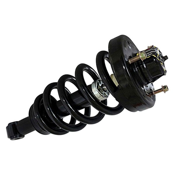 GSP North America® - Rear Driver or Passenger Side Strut Assembly