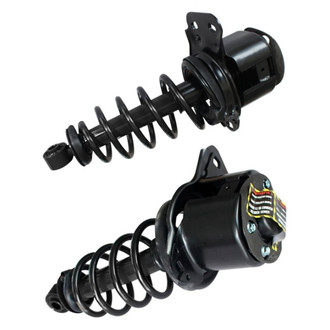 GSP North America® - Rear Strut Assebmlies Set