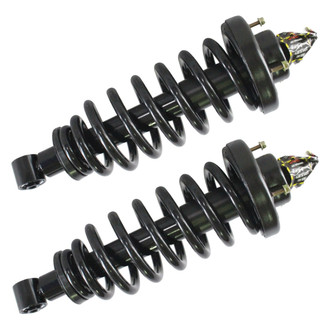 GSP North America® - Rear Strut Assebmlies Set