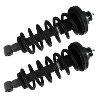 GSP North America® - Rear Strut Assebmlies Set