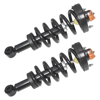 GSP North America® - Rear Strut Assebmlies Set