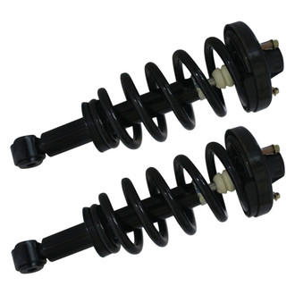 GSP North America® - Rear Strut Assebmlies Set