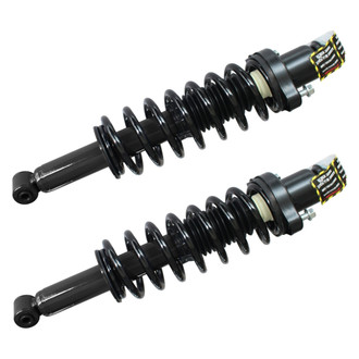 GSP North America® - Rear Strut Assebmlies Set