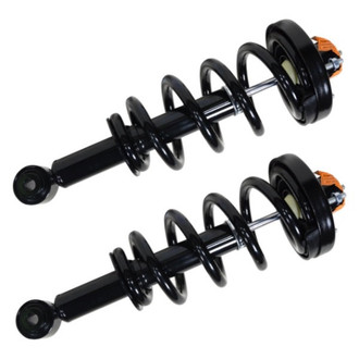 GSP North America® - Rear Strut Assebmlies Set