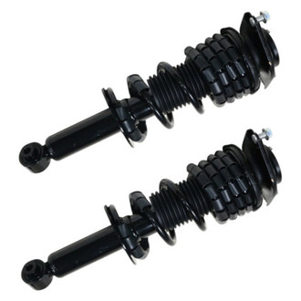 GSP North America® - Rear Strut Assebmlies Set