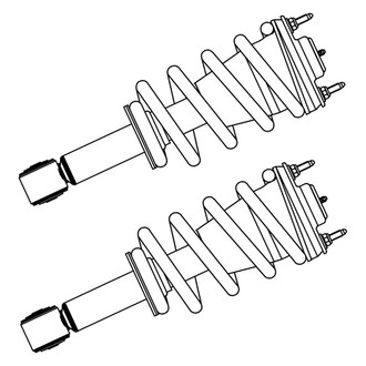 GSP North America® - Rear Strut Assebmlies Set