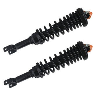 GSP North America® - Rear Strut Assebmlies Set