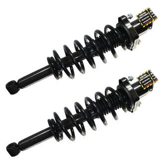 GSP North America® - Rear Strut Assebmlies Set