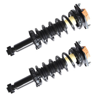GSP North America® - Rear Strut Assebmlies Set