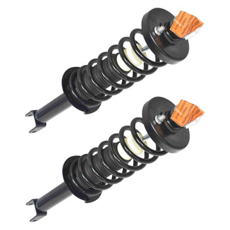 GSP North America® - Rear Strut Assebmlies Set