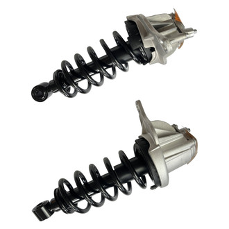 GSP North America® - Rear Strut Assebmlies Set