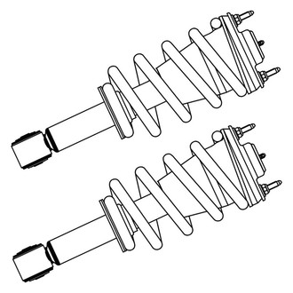 GSP North America® - Rear Strut Assebmlies Set