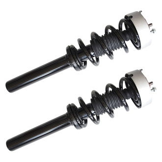 GSP North America® - Front Strut Assebmlies Set