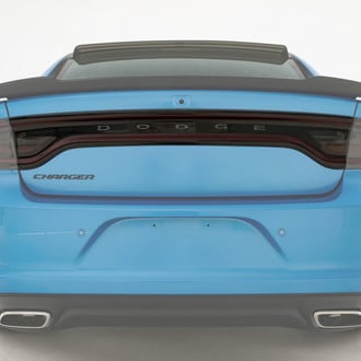 GTS® - Blackouts™ Carbon Fiber Look Rear Center Section Panel