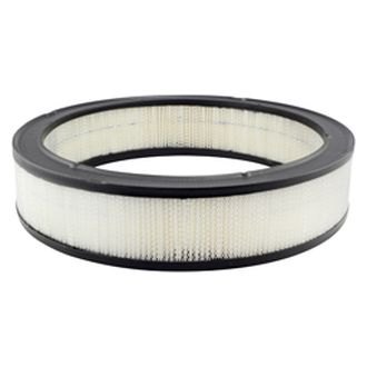 Air Filter Hastings AF110 