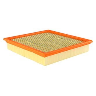 Hastings® - Panel Air Element