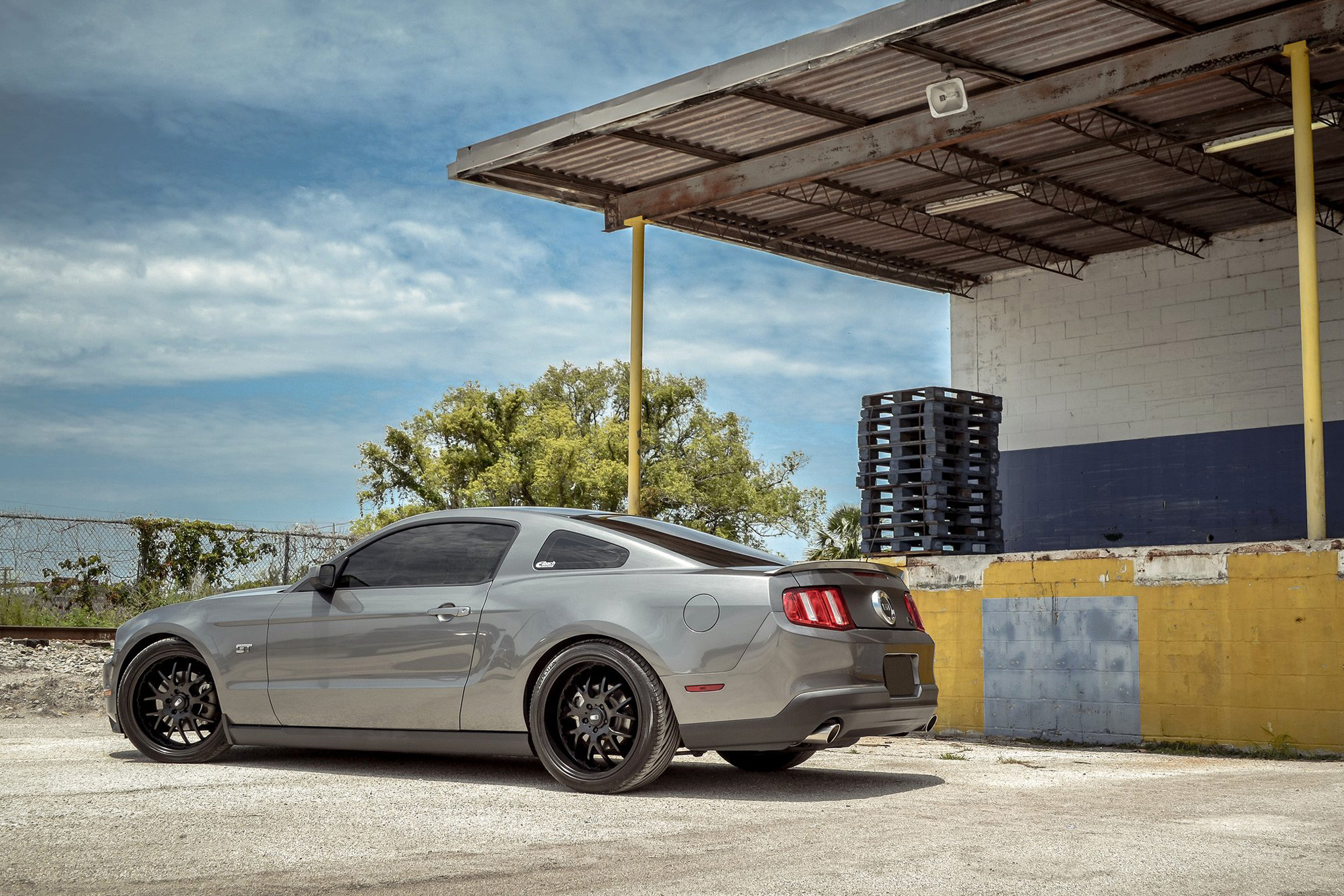 HD® - MSR On Mustang