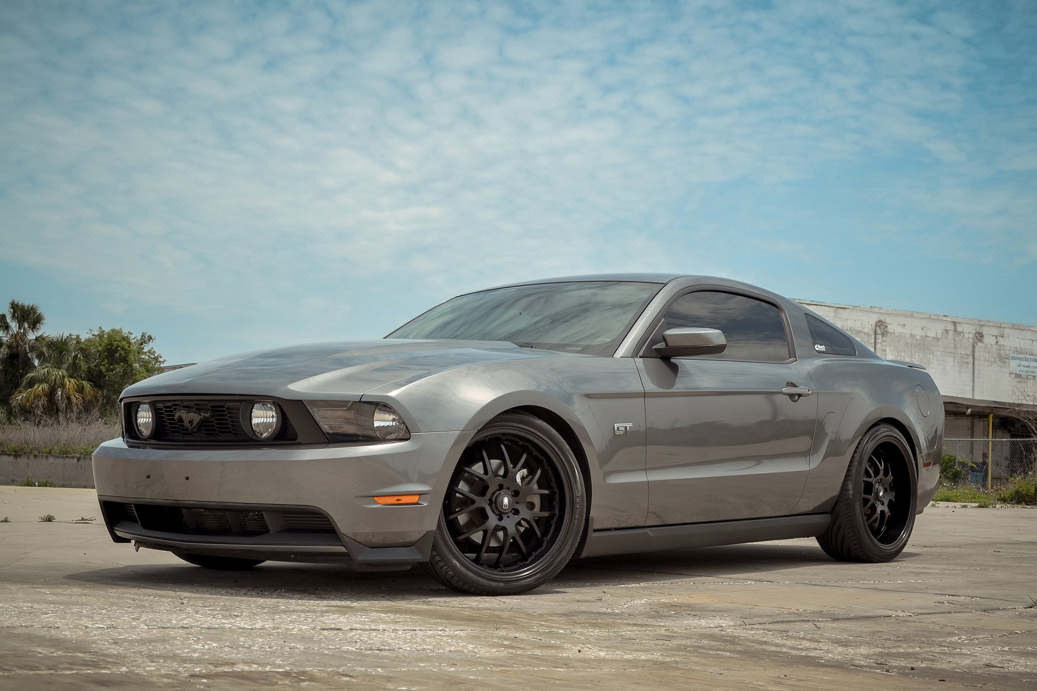 HD® - MSR On Mustang