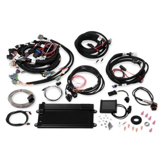 Holley® - Terminator LS MPFI Kit