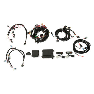 Holley® - HP EFI ECU and Harness Kit