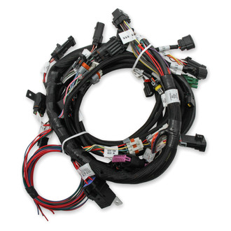 Holley® - EFI Main Harness Kit