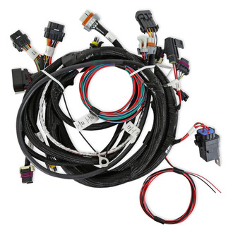 Holley® - 24x Terminator™ TBI Main Harness