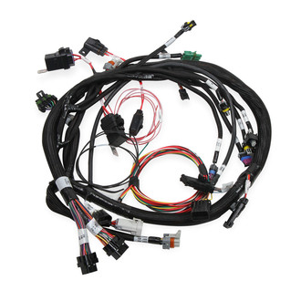 Holley® - Dominator™ EFI Main Harness