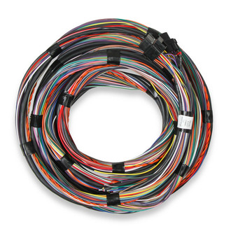 Holley® - Unterminated 15' Flying Lead Main Harness