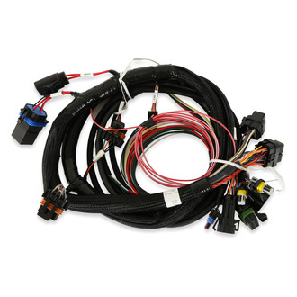 Holley® - Terminator™ EFI Main Harness