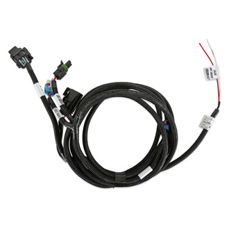 Holley® - Terminator X Max™ Transmission Harness