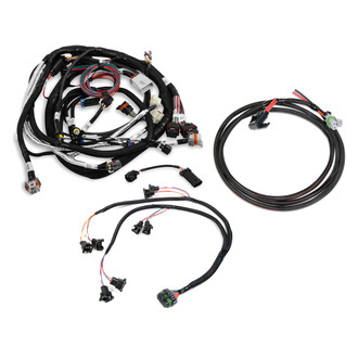 Holley® - EFI Harness Kit