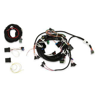 Holley® - EFI Harness Kit
