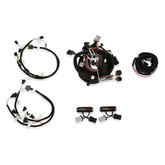 Holley® - EFI Harness Kit