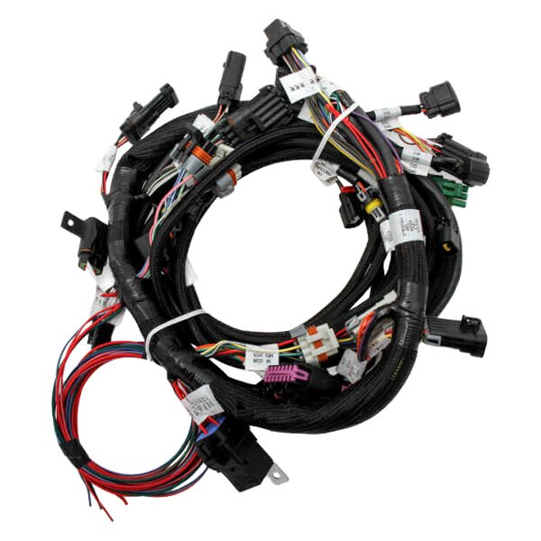 Holley® - EFI System Wiring Harness