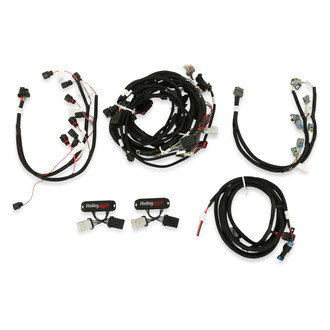Holley® - EFI System Wiring Harness