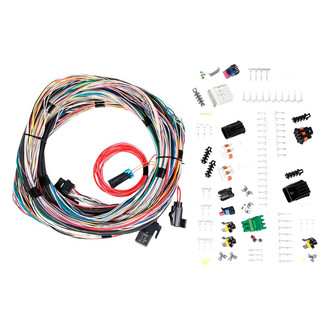 Holley® - Unterminated Main Harness