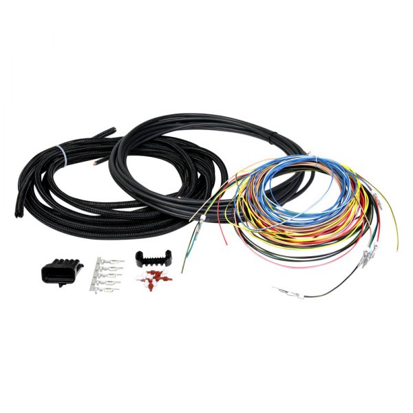 Holley® - EFI™ Unterminated Ignition Harness