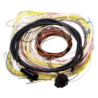 Holley® - Auxiliary Harness