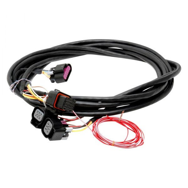 Holley® - Dual Drive-By-Wire Harness
