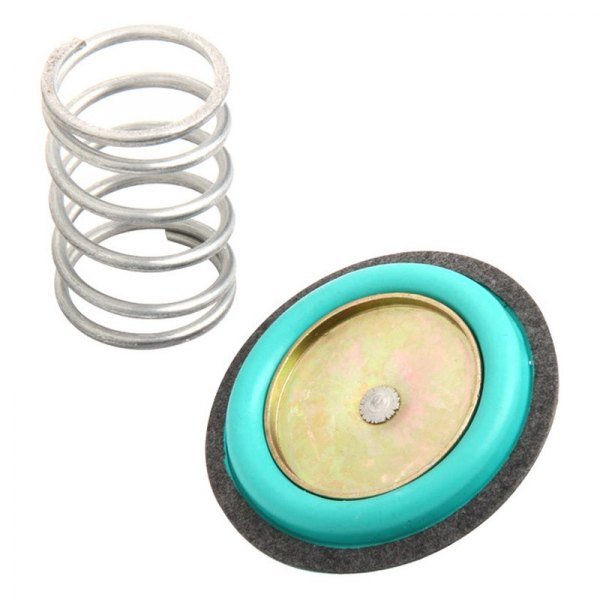 Holley® 12824 Regulator Rebuild Kit for PN[12843]